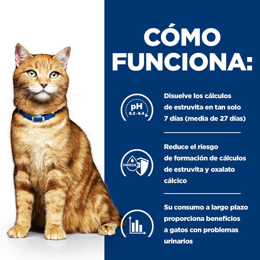 156 g Hill's Prescription Diet Urinary Care c/d Pollo lata para gatos, , large Imagen numero 2